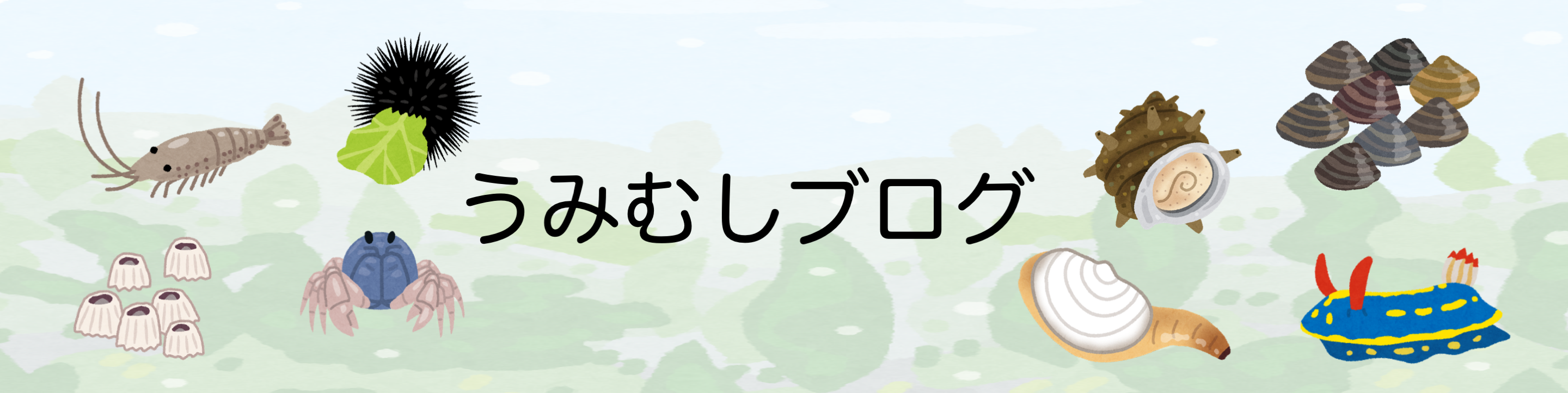 うみむしブログ